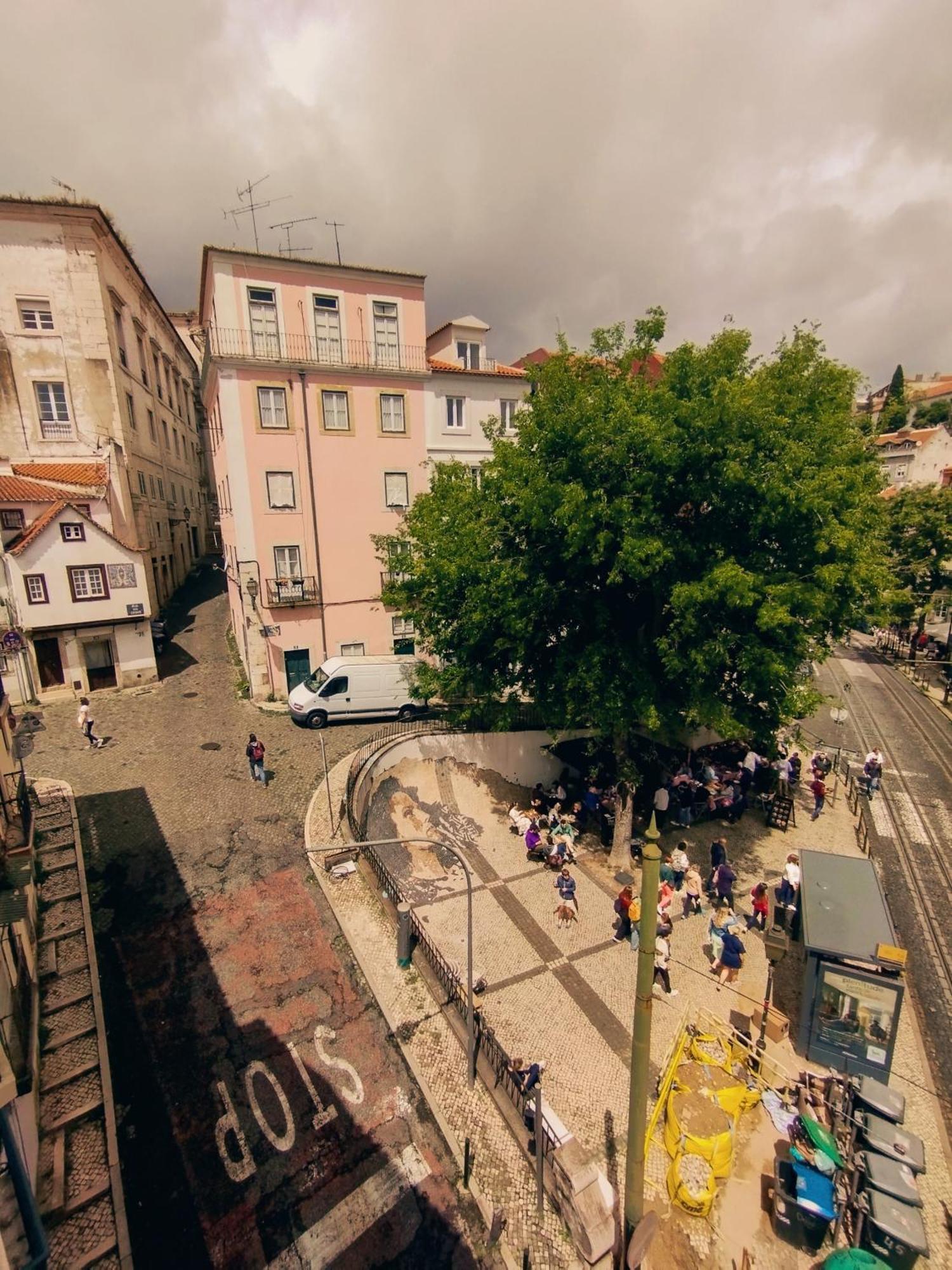 Theone Alfama *